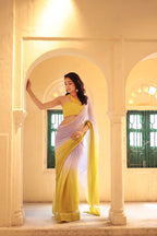 Ombre Chiffon Saree with Lurex work